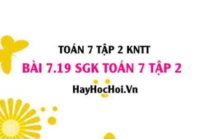 Bài 7.19 SGK Toán 7 tập 2 Kết nối tri thức